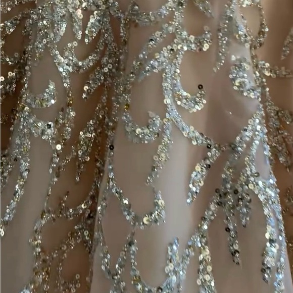 Gorgeous tulle gown - Picture 8 of 11